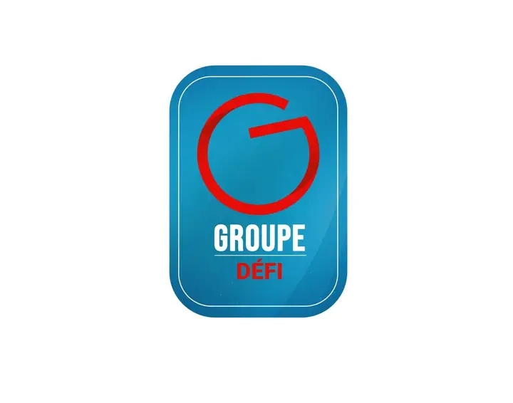 Logo GROUPE DEFI - Intégrateur IT Congo